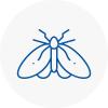 Moth Control Specialists In Billingshurst